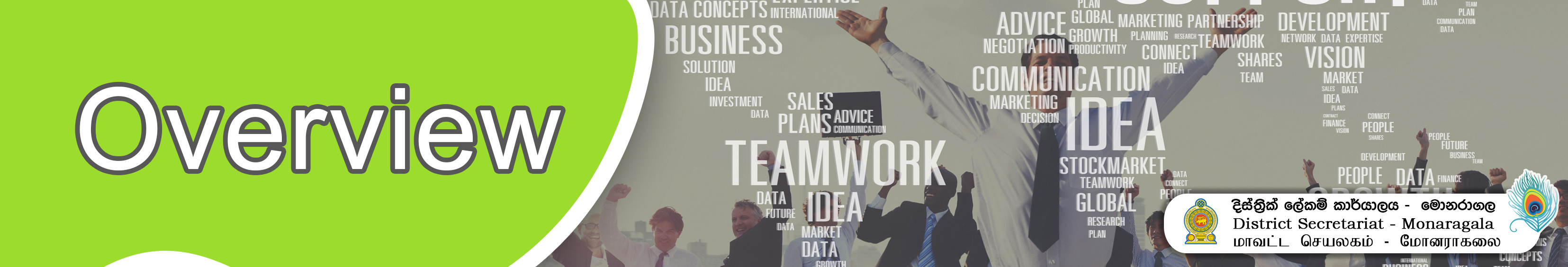 overview Banner