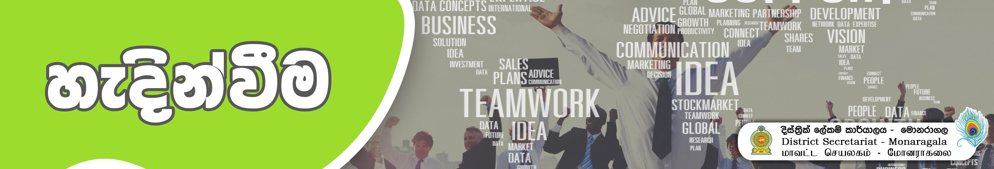 overview Banner